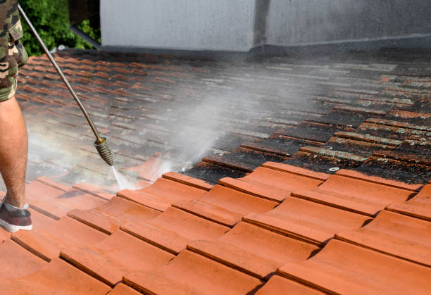 Best Best Pressure Washing Companies  in Putney, GA